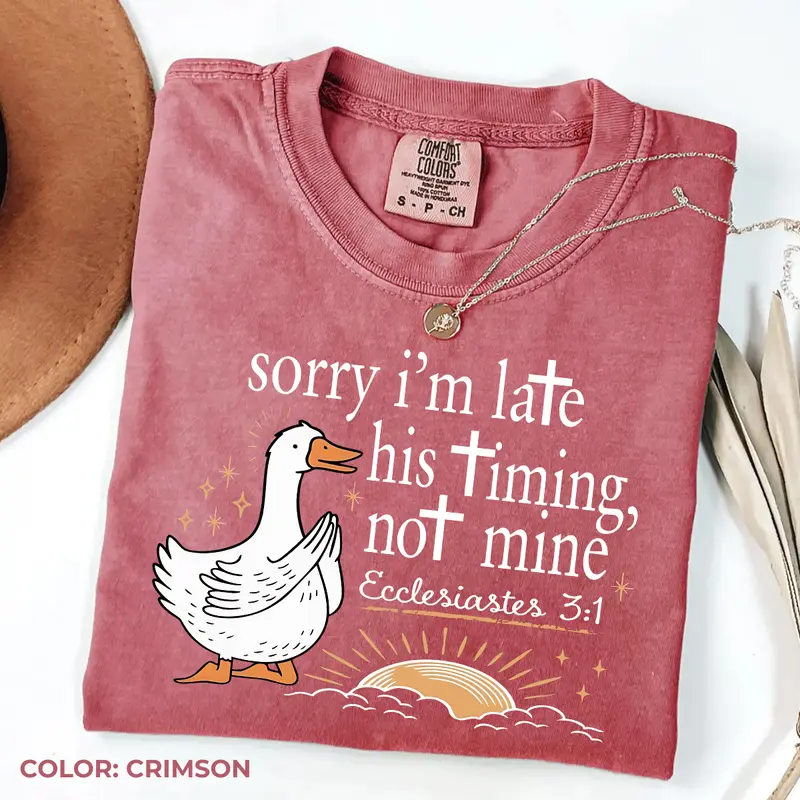 Sorry I'm Late His Timing Not Mine goose Ecclesiastes Christian tee