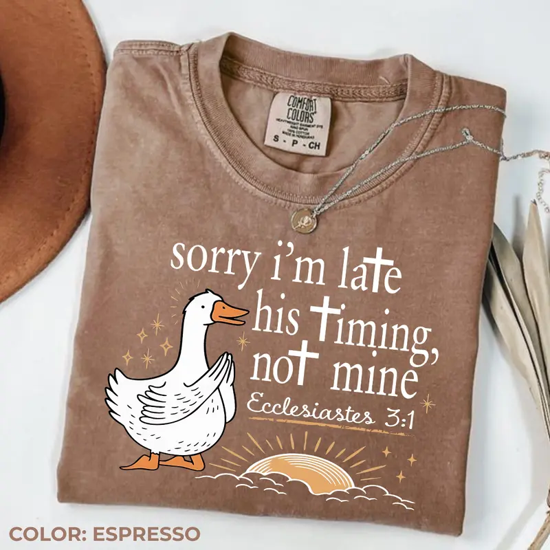 Sorry I'm Late His Timing Not Mine goose Ecclesiastes Christian tee