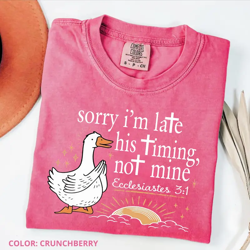 Sorry I'm Late His Timing Not Mine goose Ecclesiastes Christian tee