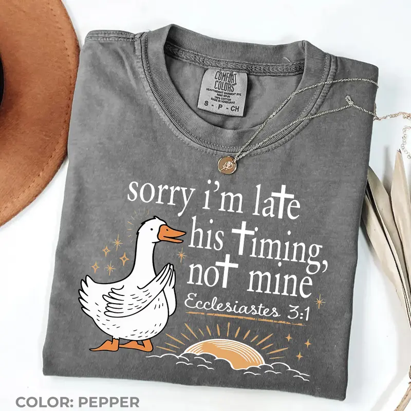 Sorry I'm Late His Timing Not Mine goose Ecclesiastes Christian tee