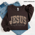 Jesus leopard cheetah print Christian sweatshirt, The Way The Truth The Life